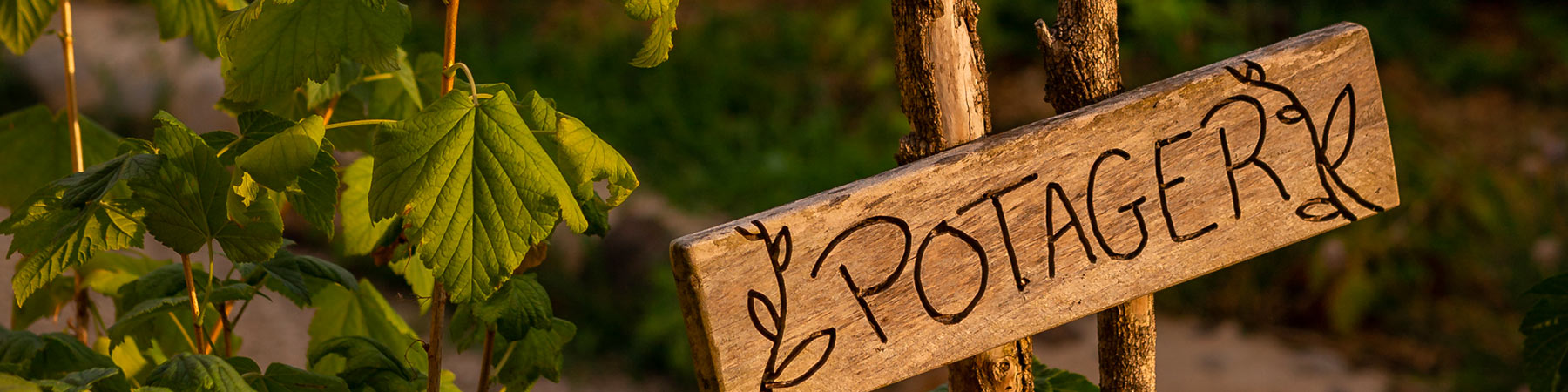 Le potager Hôtel du Centenaire 